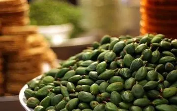 خطر مسمومیت با نوبرانه‌ بهار| چغاله بادام هایی که اینگونه هستند را نخورید!

