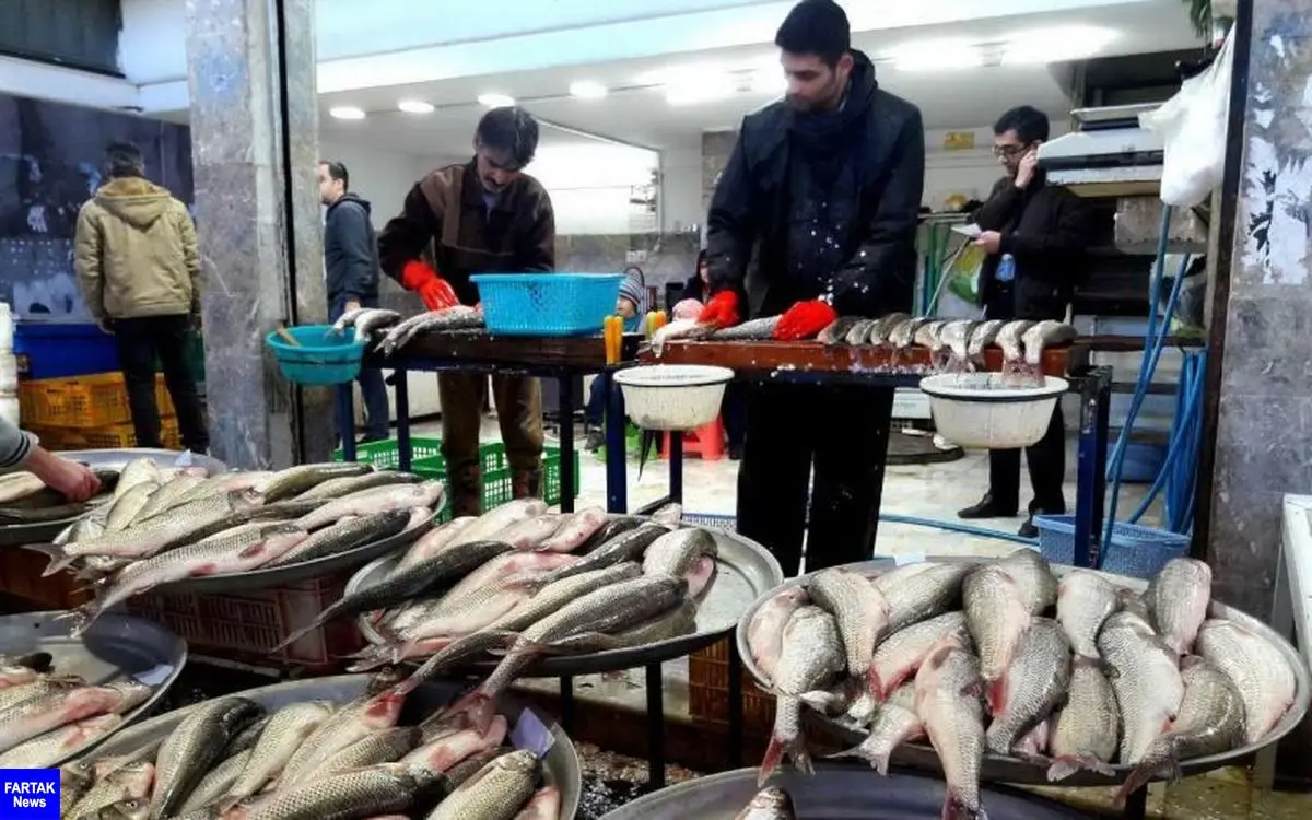 سازمان شیلات:ماهی را بپزید و بخورید و نگران کرونا نباشید
