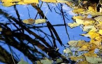 پیش‌بینی وحشتناک از آینده تهران در پاییز/ آماده باشید!