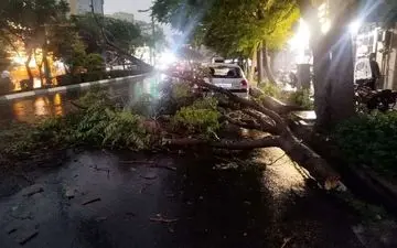هواشناسی تهران هشدار نارنجی داد؛ وزش باد شدید و تهدید طوفان در راه است