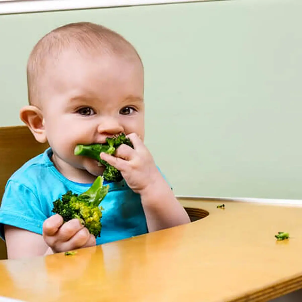 از چه زمانی به فرزندم سبزیجات بدهم؟|تغذیه کودک