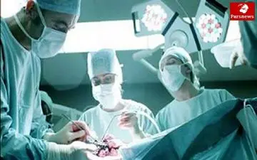 دماغ خوکی، لب شتری و گوش الاغی در ایران