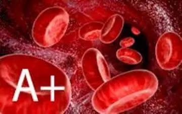 همه چیز درمورد گروه خونی A+ | هر آن چه که باید در موردش بدانید