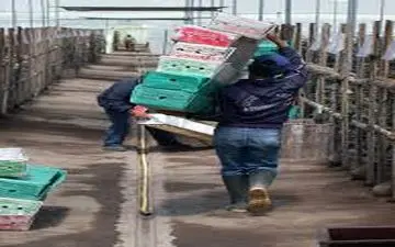 حداقل دستمزد کارگران در سال آینده چنددرصد افزایش می یابد؟