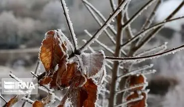 اولین برف پاییزی کرمان؛ ساعت کاری ادارات تغییر کرد