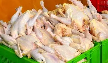 روند سینوسی قیمت مرغ و ضرری که عاید مردم و تولیدکنندگان می‌شود