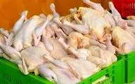 روند سینوسی قیمت مرغ و ضرری که عاید مردم و تولیدکنندگان می‌شود