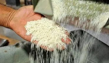 قیمت جدید برنج پاکستانی در بازار چند؟ + جدول