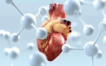 برای سلامت قلب خود اهمیت قائل باشید!