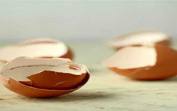 پوست تخم مرغ را دور نریزید!