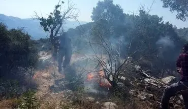 مهار آتش سوزی مراتع و جنگل‌های "طسوج" چرام پس از یک شبانه روز تلاش‌