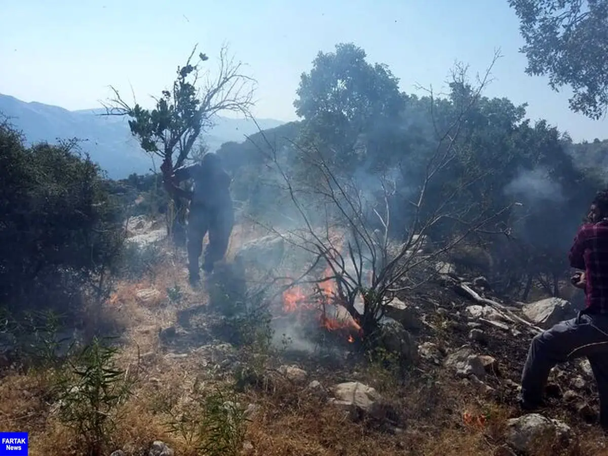 مهار آتش سوزی مراتع و جنگل‌های "طسوج" چرام پس از یک شبانه روز تلاش‌