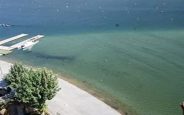 دریاچه آزادی در حال خشک شدن + عکس