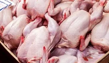 نرخ جدید مرغ امروز 28 مرداد 1404؛ قیمت مرغ تازه و منجمد در بازار
