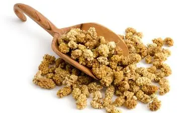  توت خشک هم محصولی لاکچری شد 