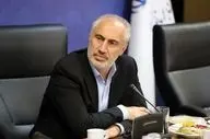 رئیس سازمان برنامه و بودجه: کالابرگ این ماه پرداخت نمی‌شود