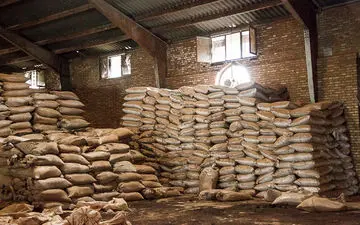 عرضه چای کهنه و فاسد به بازار چقدر صحت دارد؟ 