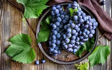 میوه‌ای جادویی برای رفع خستگی ذهنی

