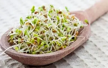  خواص جوانه‌ها برای سلامتی