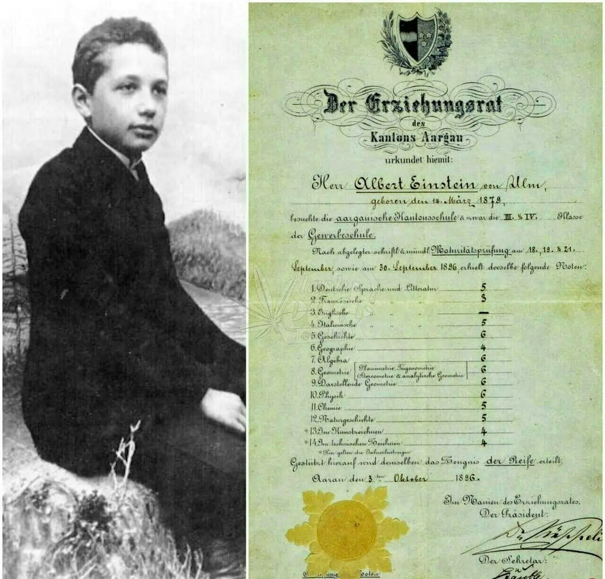 عکس دیده نشده از کارنامه تحصیلی اینشتین با نمرات جالب!