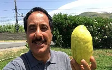 گزارش موبایلی معصومی‌نژاد درباره میوه بالنگ