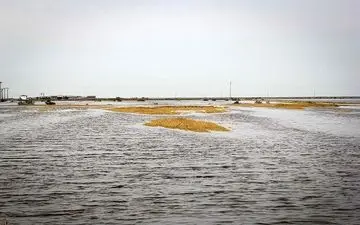  سامانه ثبت خسارت سیل‌زدگان راه‌اندازی شد