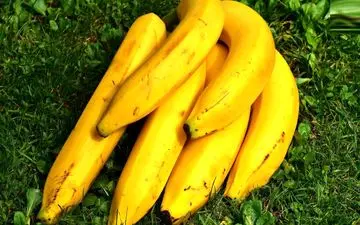 بهبود علائم افسردگی با مصرف این خوراکی ها