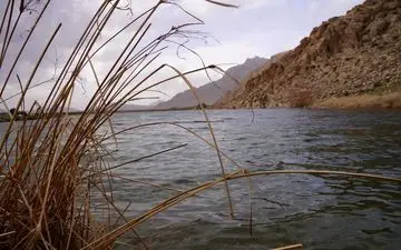 بازگشت حیات به « تالاب هشیلان» و «سراب یاوری» کرمانشاه