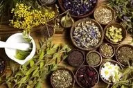 مصرف خودسرانه فرآورده‌های گیاهی خطرناک است 