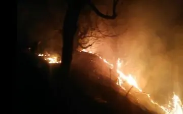 وقوع حریق در جنگل‌های هیرکانی