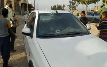 اختلافات شخصی، انگیزه قتل استاد دانشگاه فسا