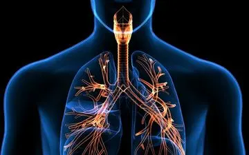 ۵ تمرین ساده برای تقویت ریه‌ها و سیستم ایمنی در زمستان