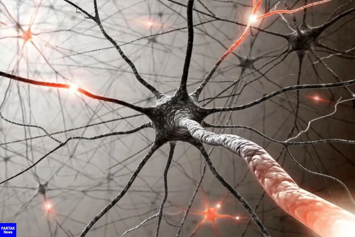 
ارتباط "بیماری نورون حرکتی" با کلسترول
