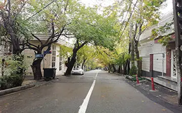 علت اسباب‌کشی نکردن فرمانده ارتش به نیاوران