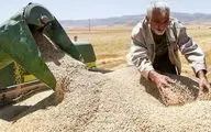 شنبه، موعد انتشار خبر خوش برای کشاورزان