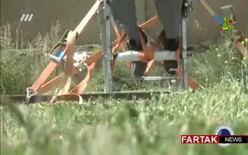 ماه عسل 96 /  قهرمانِ روی ویلچر اما ایستاده + فیلم