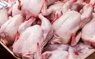 
کاهش قیمت مرغ با افزایش تولید
