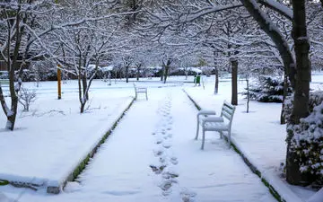 مزاج زمستان در طب سنتی