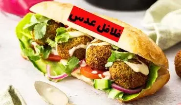 طرز تهیه فلافل عدس با سس مخصوص؛ تنوعی خوشمزه برای علاقه‌مندان به فلافل