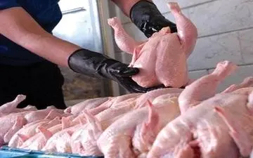 قیمت مرغ همچنان به سقف چسبیده و قول مسؤولان هم عملی نمی‌شود