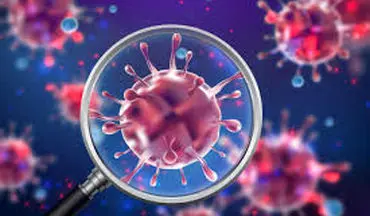 بیماری‌های عفونی و تاثیر آن بر ناباروری!