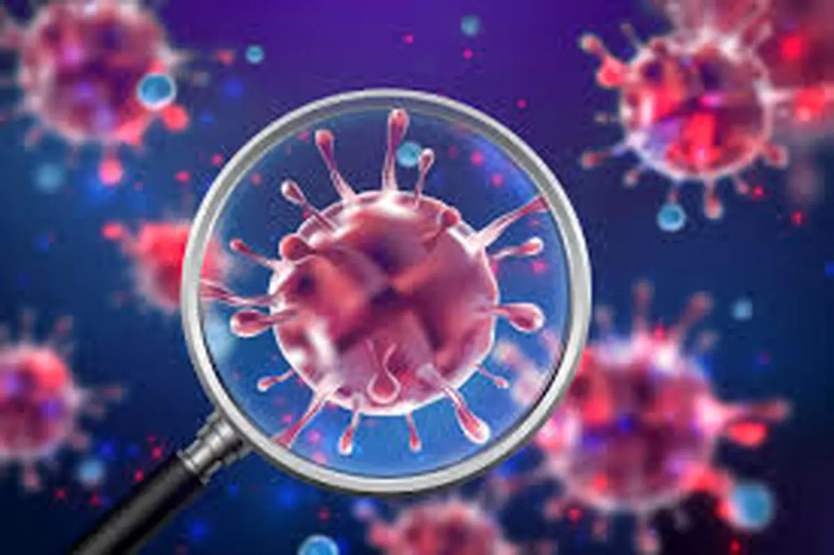 بیماری‌های عفونی و تاثیر آن بر ناباروری!