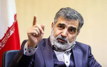 تحریم صالحی، ایران را برای محکم‌تر برداشتن گام‌های هسته‌ای مصمم می‌کند