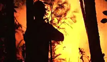 آتش سوزی مرگبار در جنگل‌های پرتغال + فیلم