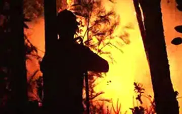 آتش سوزی مرگبار در جنگل‌های پرتغال + فیلم