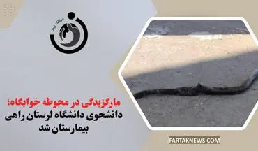 مارگزیدگی در محوطه خوابگاه؛ دانشجوی دانشگاه لرستان راهی بیمارستان شد