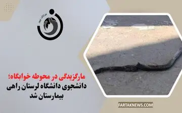 مارگزیدگی در محوطه خوابگاه؛ دانشجوی دانشگاه لرستان راهی بیمارستان شد