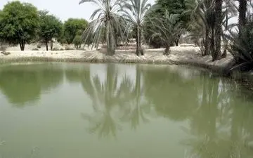 مرگ تلخ کودک 4 ساله در "هوتگ"