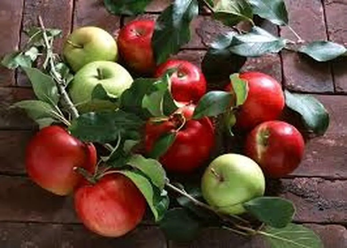 از کاهش وزن تا درمان آلزایمر با آب یک میوه شفا بخش