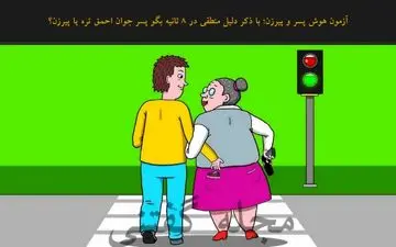 تست هوش تصویری | با ذکر دلیل منطقی در 8 ثانیه بگو پسر جوان احمق تره یا پیرزن؟